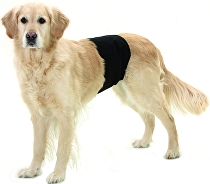 Kalhoty pro psy proti značkování 59x19cm 1ks KAR new