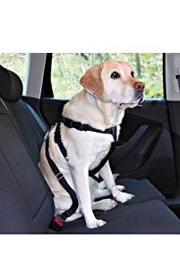 Postroj pes Bezpečnostní do auta XL Trixie