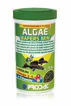 Krmivo pro ryby Prodac Algae Wafers Mini 50g