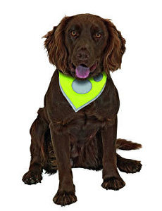 Šátek na krk reflex Safety Dog 24-30cm Žlutý KAR 1ks