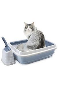 WC kočka s vysok.okrajem a lopatkou modrá 50x40x16cm