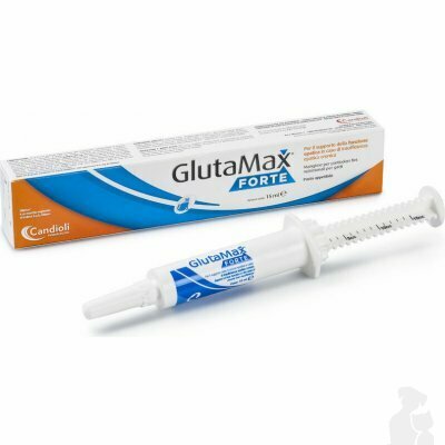Glutamax forte pasta 15ml