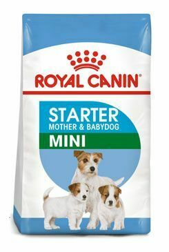 Royal Canin Mini Starter Mother&Babydog 8kg + Doprava zdarma